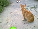     
: 080720141509.jpg
: 6
:	160.2 
ID:	8393528