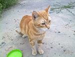     
: 080720141511.jpg
: 6
:	155.4 
ID:	8393533