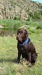     
: DSC02576.jpg
: 8
:	146.3 
ID:	8395303