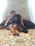     
: 20140308_112452.jpg
: 10
:	103.8 
ID:	8395304
