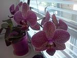     
: CAM00493.jpg
: 125
:	115.1 
ID:	8397371