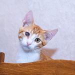     
: DSC_0243.jpg
: 6
:	68.9 
ID:	8398331