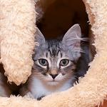     
: DSC_0146.jpg
: 4
:	108.8 
ID:	8398336