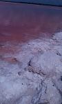     
: 12-F0638CB1-2685496-800-100.jpg
: 22
:	77.6 
ID:	8404456