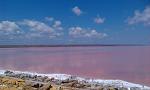     
: 12-F039462E-2617376-800-100.jpg
: 19
:	68.2 
ID:	8404457
