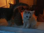     
: 20140711_204954.jpg
: 18
:	85.3 
ID:	8406883