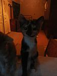     
: 20140711_205214.jpg
: 13
:	58.0 
ID:	8406885