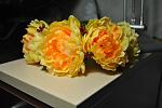     
: DSC_0992.jpg
: 71
:	82.1 
ID:	8409442