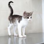     
: DSC_1670.jpg
: 11
:	52.1 
ID:	8410429