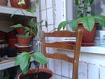     
: 2014-07-13_12.11.51.jpg
: 23
:	127.7 
ID:	8410952
