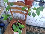     
: 2014-07-13_12.11.29.jpg
: 19
:	155.5 
ID:	8410953