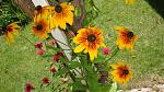     
: DSC05478.JPG
: 2
:	228.1 
ID:	8413669