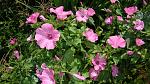     
: DSC05482.JPG
: 5
:	244.0 
ID:	8413677
