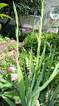     
: DSC05486.JPG
: 7
:	246.3 
ID:	8413679