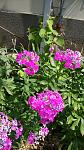     
: DSC05489.JPG
: 7
:	239.9 
ID:	8413682