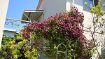     
: DSC05479.JPG
: 6
:	239.4 
ID:	8413727