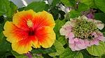     
: DSC05475.JPG
: 6
:	222.1 
ID:	8413736