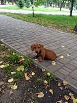     
: 2u4B3AylRbw.jpg
: 6
:	227.6 
ID:	8415336