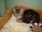     
: DSC05045.jpg
: 10
:	149.4 
ID:	8416046