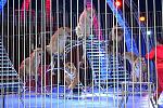     
: DSC_0355.jpg
: 26
:	222.3 
ID:	8416678