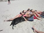     
: IMG_6747.jpg
: 5
:	130.0 
ID:	8418698