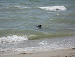     
: IMG_6737.jpg
: 6
:	125.7 
ID:	8418706