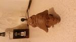     
: 20140715_211515.jpg
: 31
:	73.0 
ID:	8421028