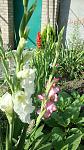     
: DSC05509.jpg
: 5
:	122.7 
ID:	8421913