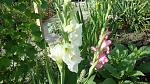     
: DSC05508.jpg
: 2
:	189.9 
ID:	8421914