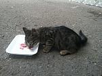     
: 2014-07-16 12.17.06.jpg
: 13
:	222.4 
ID:	8423312