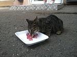     
: 2014-07-16 12.16.59.jpg
: 8
:	195.7 
ID:	8423314