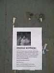     
: 2014-07-16 14.13.33.jpg
: 16
:	69.9 
ID:	8423539