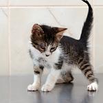     
: DSC_1663.jpg
: 16
:	72.6 
ID:	8424048