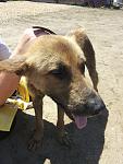     
: 20140715_124425.jpg
: 7
:	118.7 
ID:	8424297