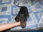     
: 520jfbb7GeM.jpg
: 17
:	103.8 
ID:	8425801