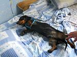     
: PGbNZHtFG1I.jpg
: 8
:	118.5 
ID:	8425802