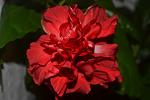     
: DSC_5640.jpg
: 10
:	62.1 
ID:	8426150