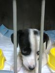     
: фото0023.jpg
: 11
:	54.7 
ID:	8426312