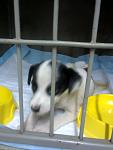     
: фото0019.jpg
: 8
:	58.8 
ID:	8426316