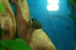     
: IMG_6663.jpg
: 26
:	63.9 
ID:	8427064