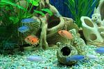     
: IMG_6645.jpg
: 23
:	143.0 
ID:	8427068