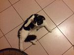     
: 20140717_161210.jpg
: 7
:	90.9 
ID:	8428775