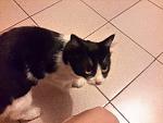     
: 20140717_161001.jpg
: 7
:	114.8 
ID:	8428777