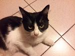     
: 20140717_161151.jpg
: 7
:	100.1 
ID:	8428780