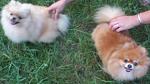     
: DSC_0732.jpg
: 15
:	80.7 
ID:	8429025