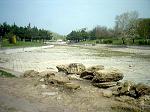     
: парк_Победы_2003.JPG
: 28
:	121.1 
ID:	8434716
