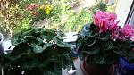     
: DSC04345.jpg
: 10
:	158.9 
ID:	8436338