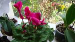     
: DSC04344.jpg
: 11
:	147.9 
ID:	8436339