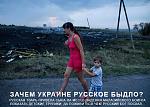     
: 1777.jpg
: 100
:	50.7 
ID:	8437449