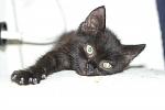     
: IMG_9425.jpg
: 14
:	74.1 
ID:	8439146